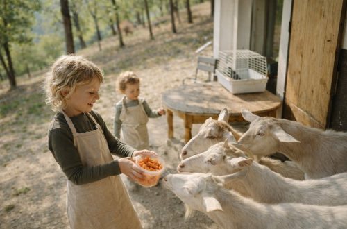 Séjour à la campagne : les activités incontournables autour des animaux