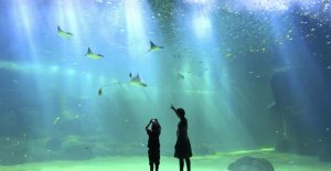 Que faire à Boulogne-sur-Mer quand il pleut : 7 adresses à l'abri
