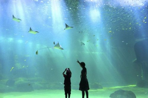 Que faire à Boulogne-sur-Mer quand il pleut : 7 adresses à l'abri